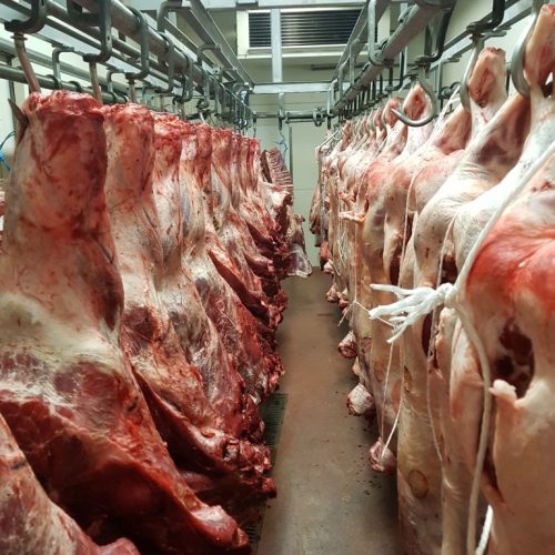 Hallal-meat-company-slager.jpg Hallal-meat-company-slager.jpg